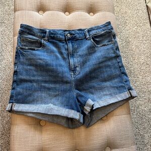 Next Level Stretch by AE / Curvy High Rise Shortie